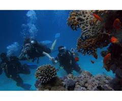 Scuba Diving In Goa Bliss – Unleash Your Inner Diver