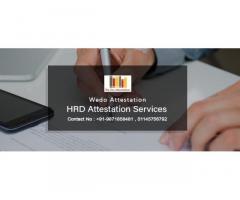Top Mistakes to Avoid During Saudi Embassy Attestation