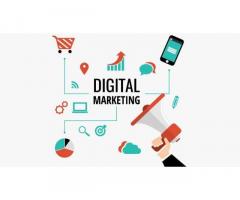 Best Website Designing Company in Delhi NCR