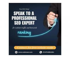 Need SEO Help? Speak to a Professional SEO Expert | Free Consultation!