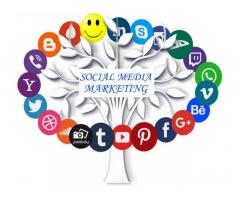 Social Media Strategy 2025: Key Tactics for Growing Your Audience