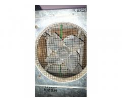 Aluminium cooler 100 litre
