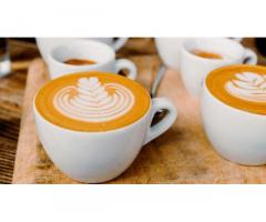 Cafes to visit in Udaipur