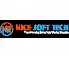 Nice Soft Tech – Empowering Brands in the Digital Age