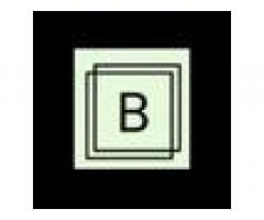 Bsquaree Marketing Inc – Result-Driven Facebook Ads Campaigns
