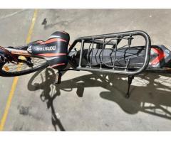 Momstar Brand 24“ Cycle