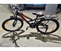Momstar Brand 24“ Cycle