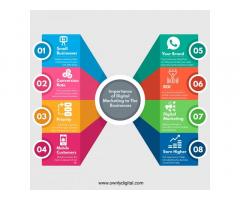SEO Expert Fujairah