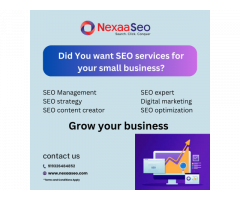 Cost-Effective SEO Services in Vashi for all Businesses