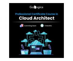 Level Up with GoLogica Data Science with Python Training