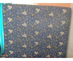 Deep freezer, big oven, stove, cot, matressmcylinder gas