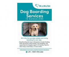 Dog Boarding Services in Bangalore