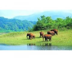 Kerala Tamilnadu Tour Package Up to 40% Off | South Indian Routes