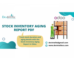 Stock Inventory Aging Report PDF/Excel in odoo - 1