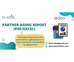 Partner Aging Report (PDF/EXCEl)
