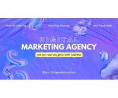 Best Digital Marketing & Web Development Companies in Noida – Friggas techsol