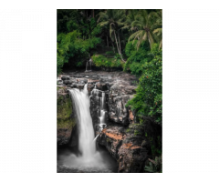 Kerala Tour Packages – Explore God’s Own Country with Travel Hope