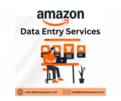 Best Amazon Data Entry Services
