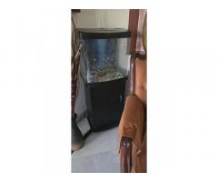 Beautiful 40 ltr Aquarium with all assessories