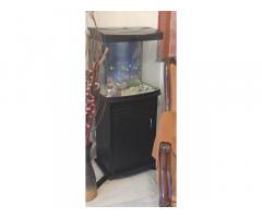 Beautiful 40 ltr Aquarium with all assessories