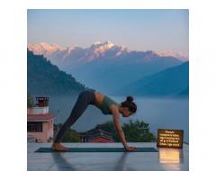 Yoga Teacher Training Fees in Rishikesh | Soham Yoga School