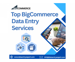 Best BigCommerce Data Entry services