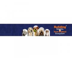 Online Vet Consultation - ThePetNest