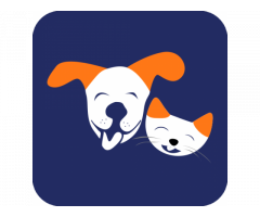 Dog Grooming at home - ThePetNest