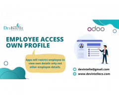 Employee Access Own Profile in Odoo