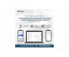 Customized SEO Services for Local & Worldwide Business Growth
