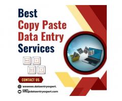 Best Copy Paste Data Entry Services at Affordable Prices