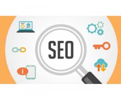 Best SEO Service Provider in Delhi | Professional SEO Experts for Guaranteed Results