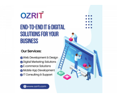 Professional Web Development Service for Businesses – Ozrit