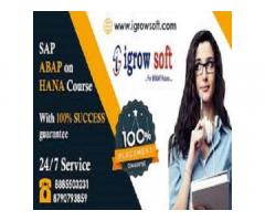 SAP ABAP on HANA | SAP S4 HANA Online Training in Ameerpet | Igrowsoft