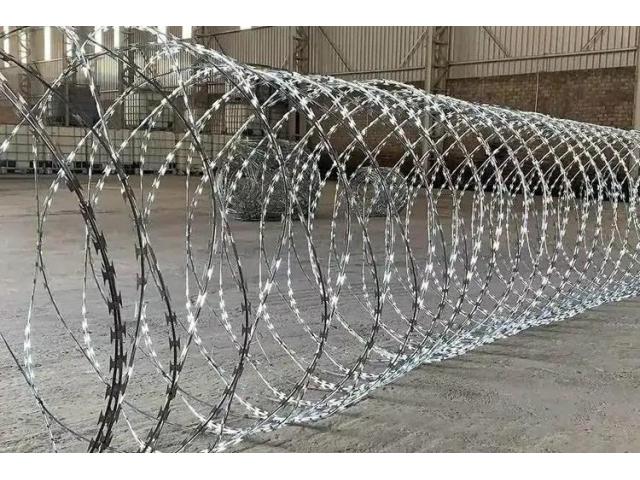 Concertina Coil Fencing Manufacturers in Punjab - 1/1