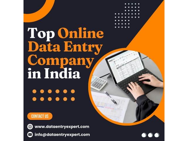 Outsource Online Data Entry Services at Affordable Prices - 1/1