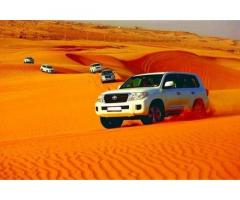 Why Desert Safari Dubai Is the Ultimate Adventure for Tourists