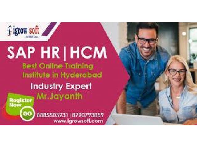 Best SAP HR HCM Online Training in Hyderabad | Igrowsoft - 1/1