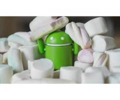 Android Mobile Application Development in Kerala - Image 1/3