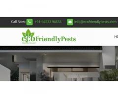 Pest Control Services Company in Mumbai | Ecofriendlypests
