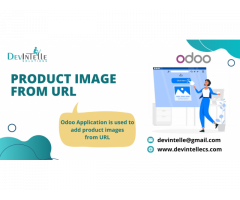 Product Image URL in Odoo