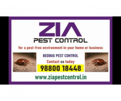 Zia Pest Control Services | Bed Bugs Control | Say Goodbye to Pests! | 233