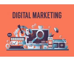 Professional Digital Marketing and SEO Courses Madurai