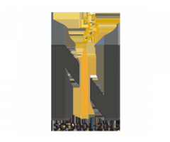 Leading Active Pharmaceutical Ingredients Manufacturers in India – Nico Orgo Marketing Pvt. Ltd.