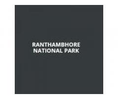 Check Safari Timing in Ranthambore for Morning & Evening Tours | Ranthambhore National Park