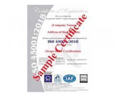 ISO 45001:2018 – Standard for Occupational Health & Safety System