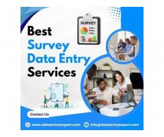 Best Survey & Questionnaire Data Entry Services in India