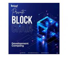 Private Blockchain Development Company