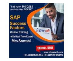 SAP Success Factors training and placement | Igrowsoft