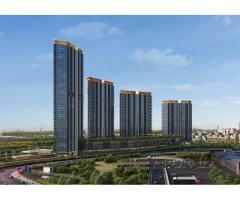 Top Luxury Homes & Real Estate Dubai